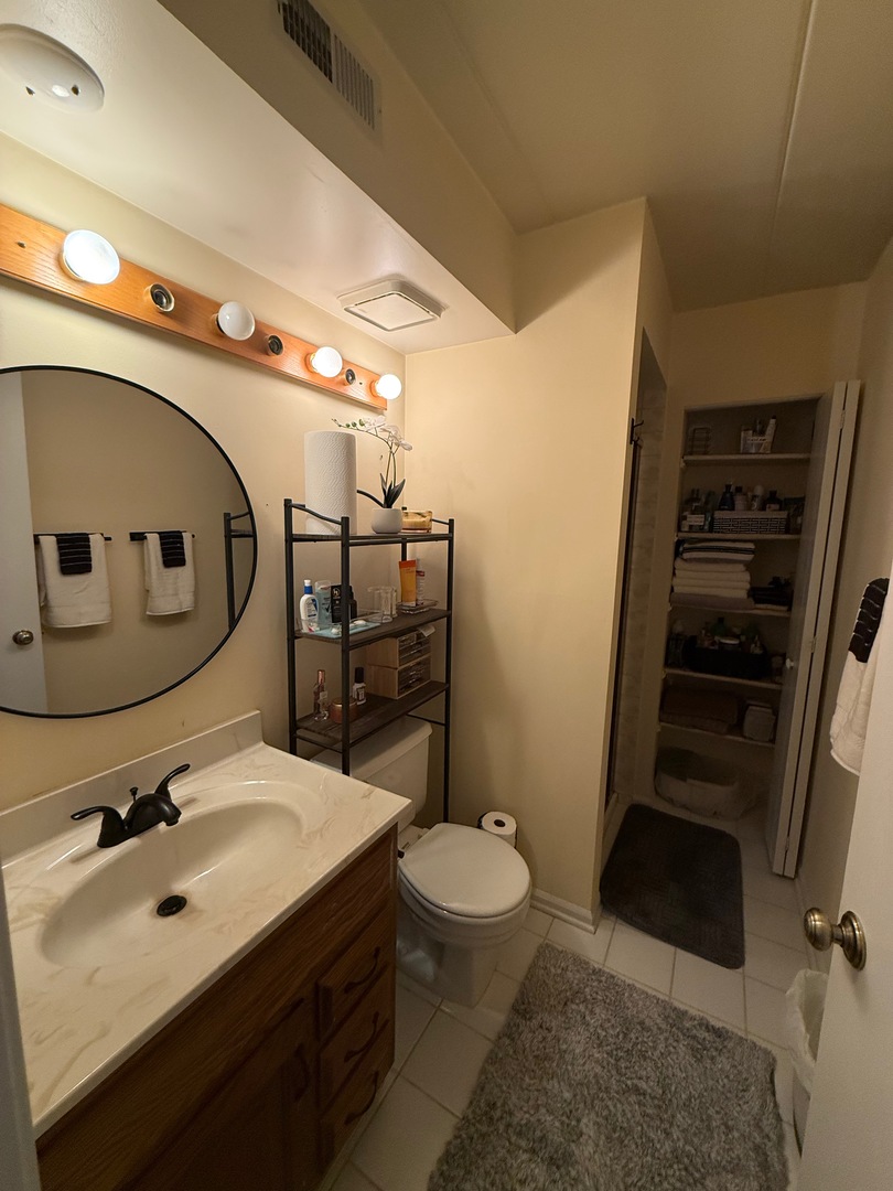 18135 Martin Avenue, Unit 2SW Homewood, IL 60430 - Photo 16 of 18 a bathroom with a sink a toilet and shower