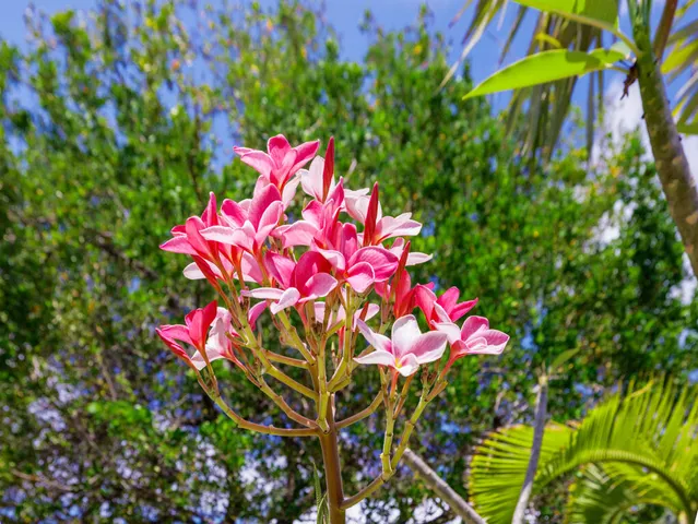 $718,000 | 30416 Coconut Highway, Big Pine Key, FL 33043