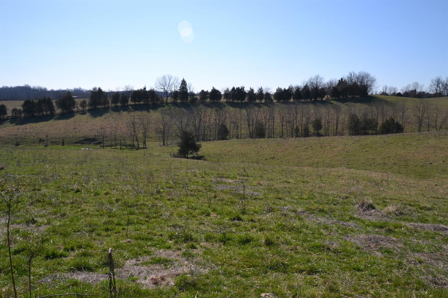 3251 Cocanougher Road Perryville, KY 40468 - Photo 2 of 16 Photo 2