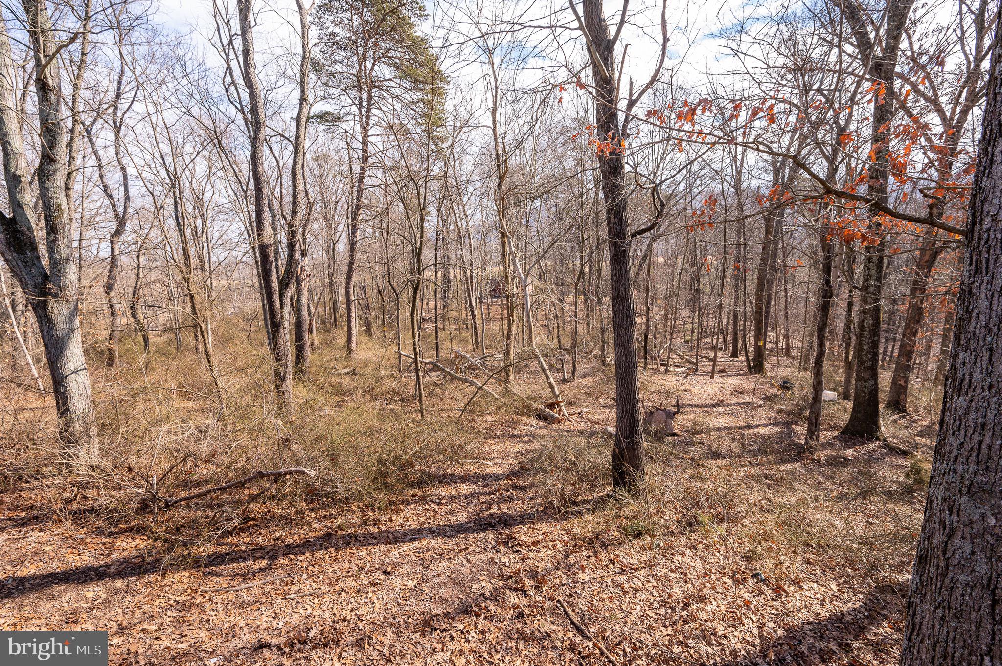 106 Country Ridge Lane Berkeley Springs, WV 25411 - Photo 55 of 59 Gallery Image 55
