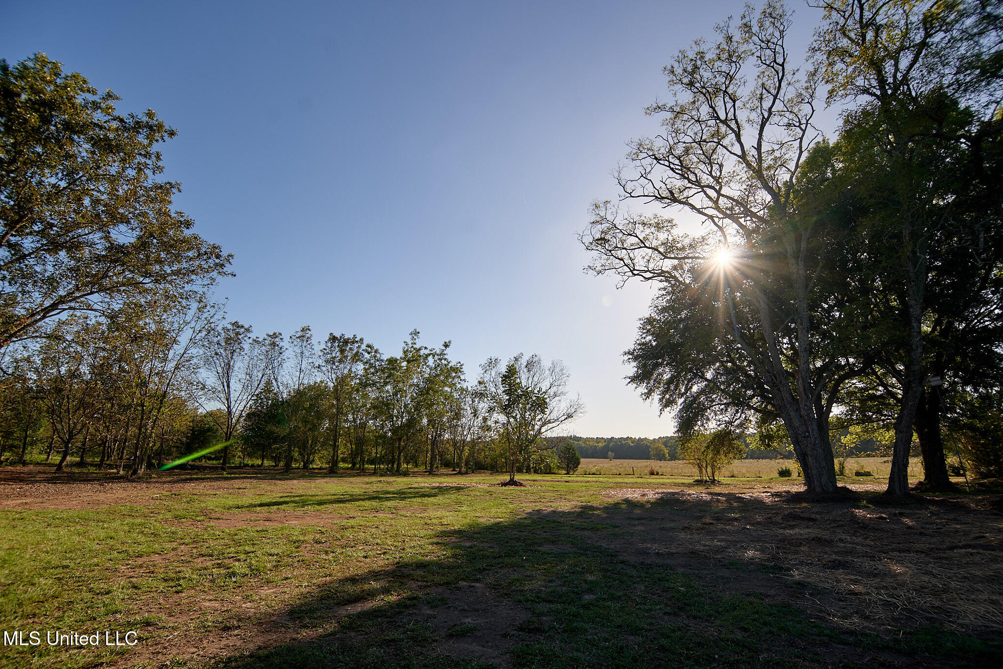 133 Sulphur Springs Road Canton, MS 39046 - Photo 57 of 57 P1509451_HDR1