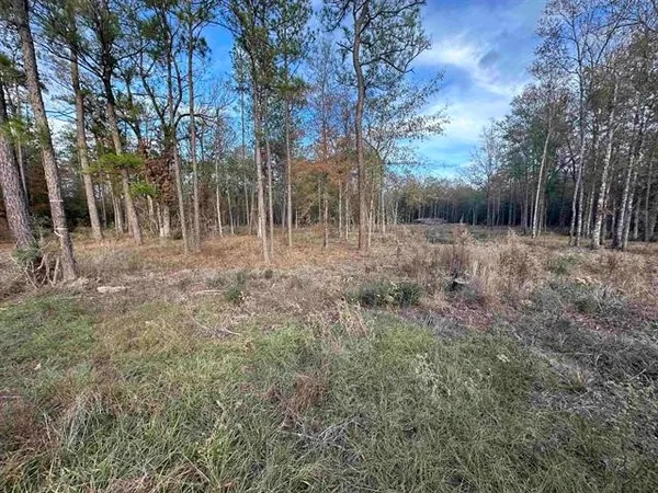 $28,000 | 10499 County Road 701, Kirbyville, TX 75956