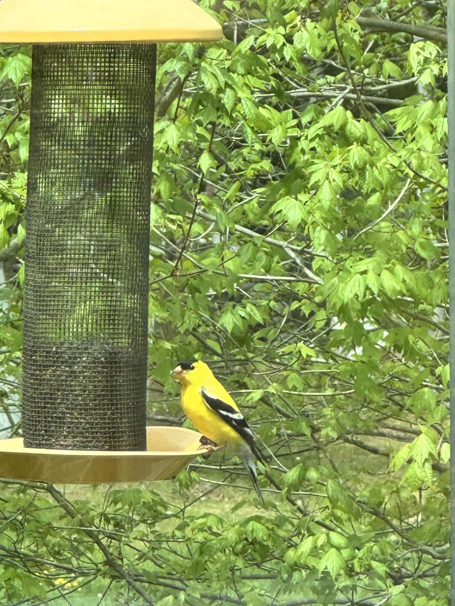 121 Brickyard Cove Road Harpswell, ME 04079 - Photo 49 of 54 Nature . . .