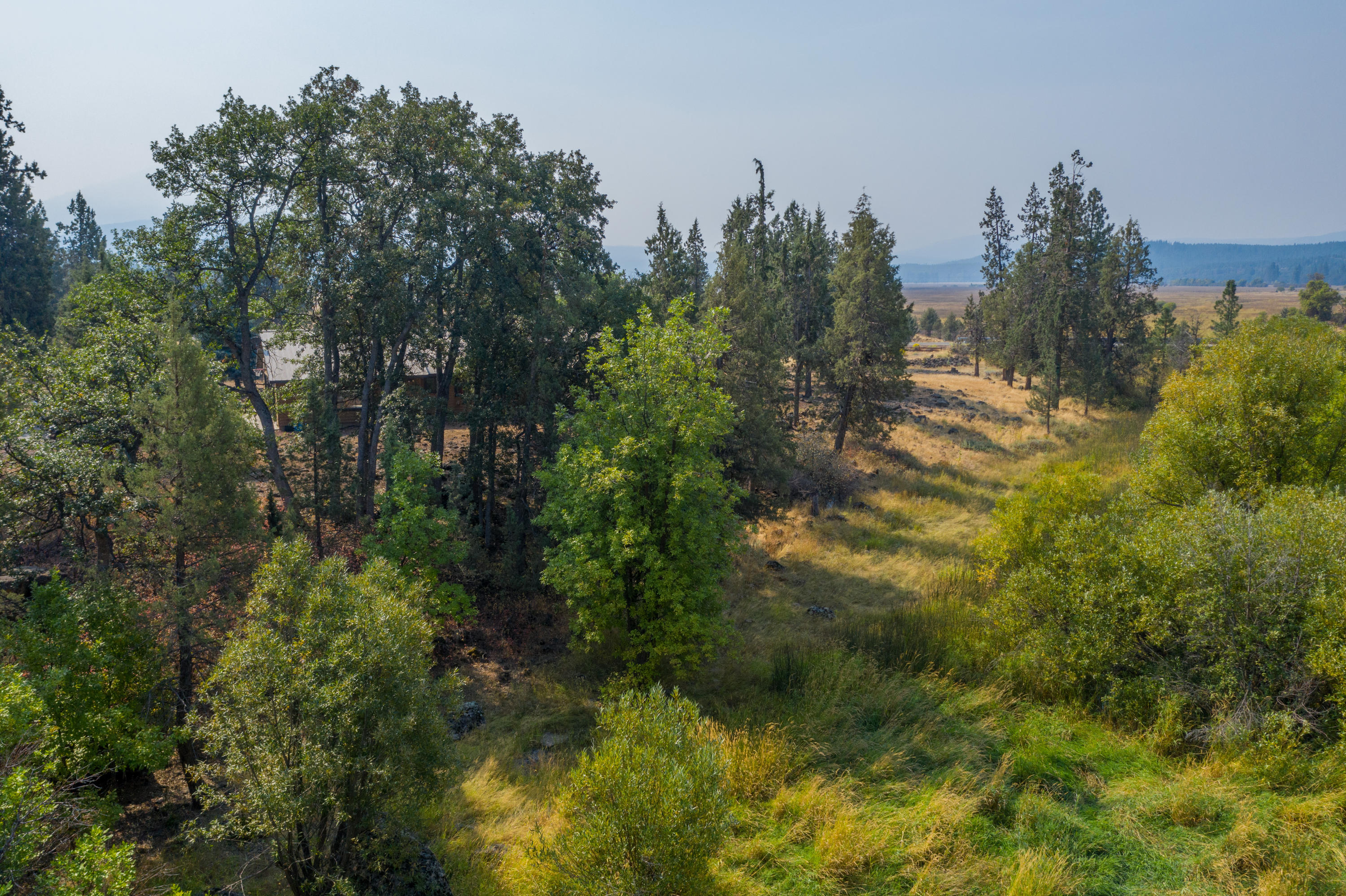 37600 Vedder Road Burney, CA 96013 - Photo 36 of 69 a view of a yard with plants and trees
