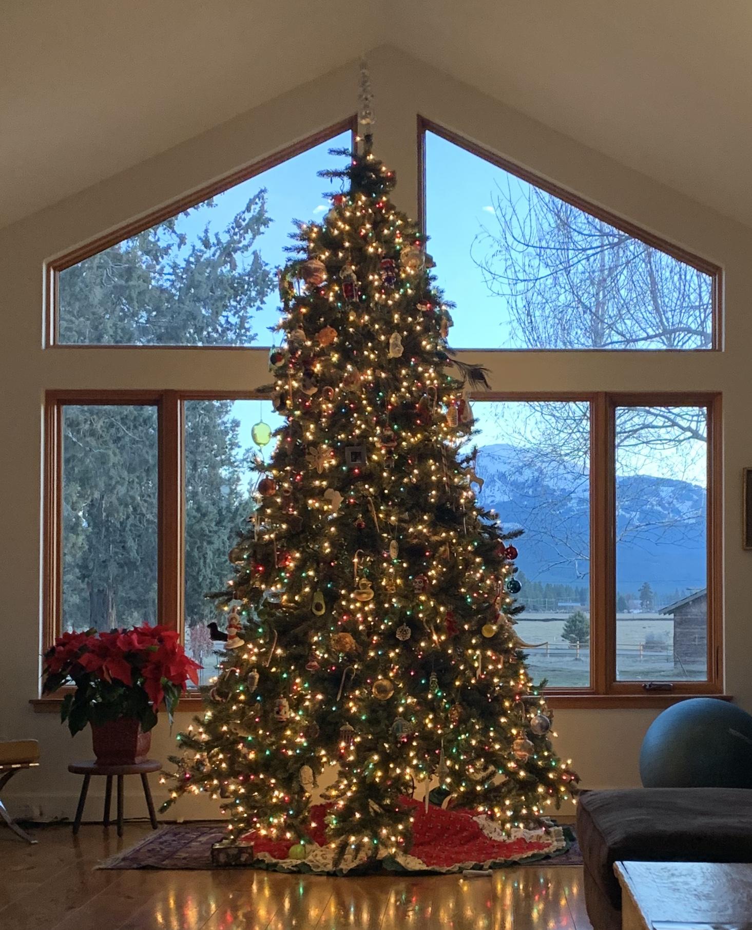 37600 Vedder Road Burney, CA 96013 - Photo 45 of 69 a room with wooden floor and a large tree