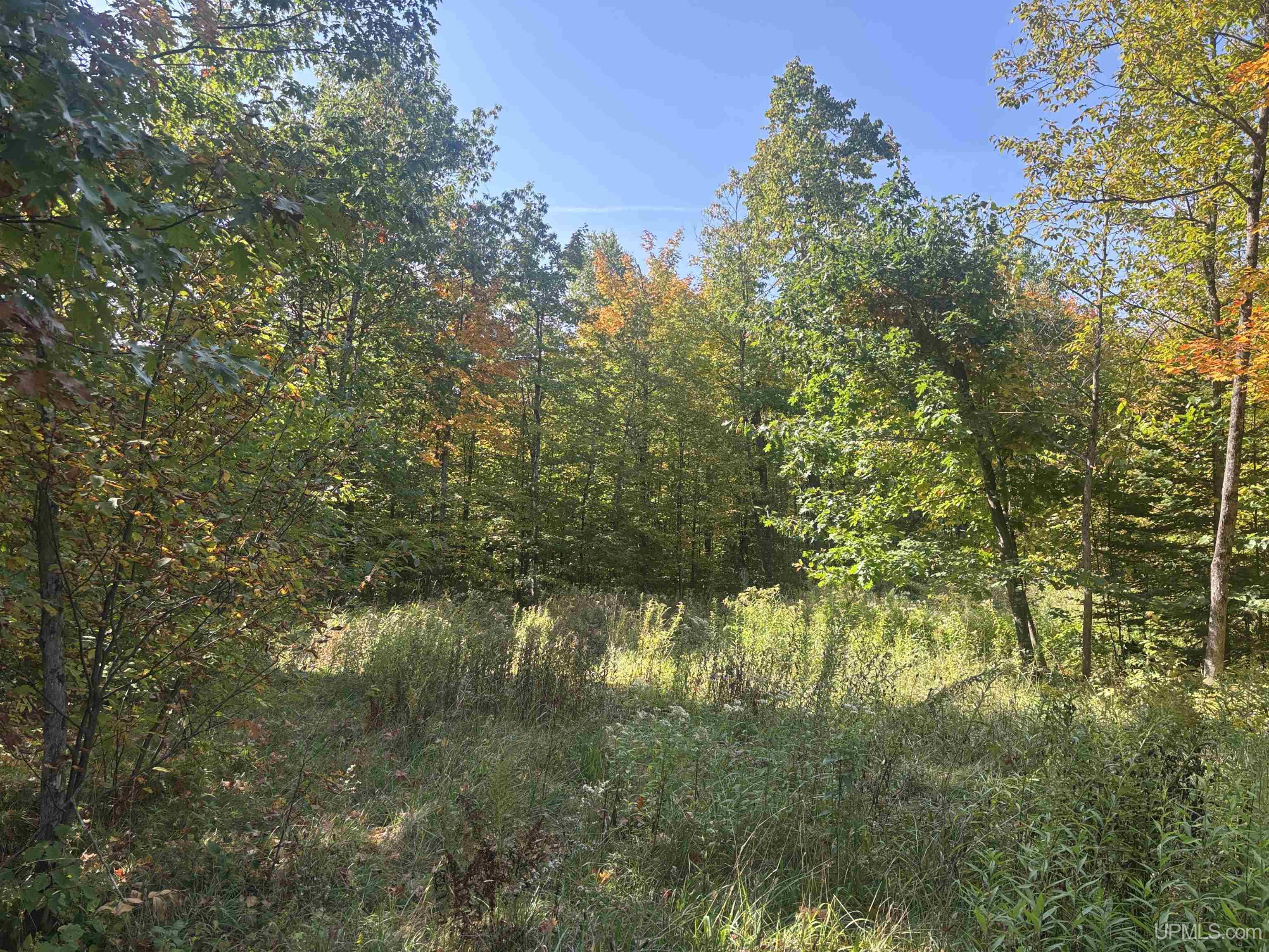 Tbd Plymouth Road Wakefield, MI 49968 - Photo 21 of 27