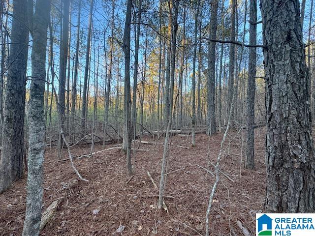 170 Valley Grove Road, Unit 45 AC Cragford, AL 36255 - Photo 3 of 19