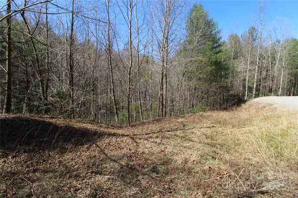 a view of a yard with trees