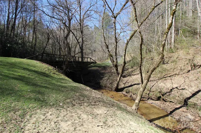 a view of tree next to a yard