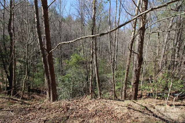a view of outdoor space and garden