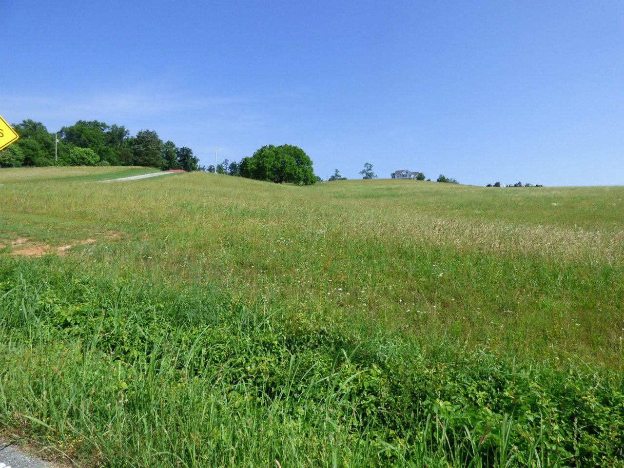 0 Owl Hole Gap Road Rutledge, TN 37861 - Photo 3 of 12 Gallery Image 3