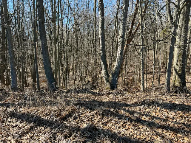 $697,975 | 5725 Whitneyville Avenue Southeast, Alto, MI 49302