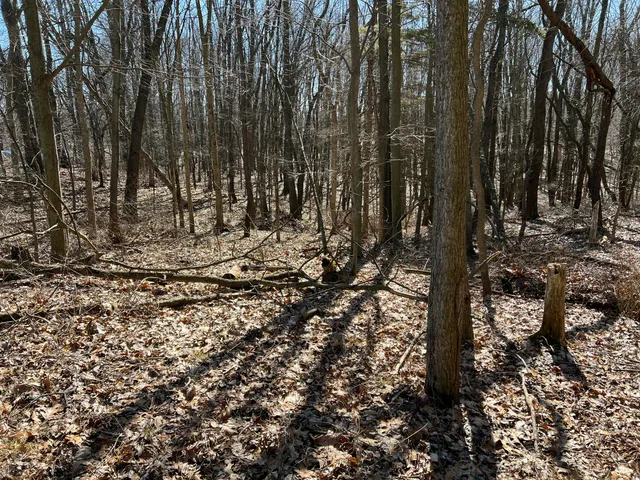 $697,975 | 5725 Whitneyville Avenue Southeast, Alto, MI 49302