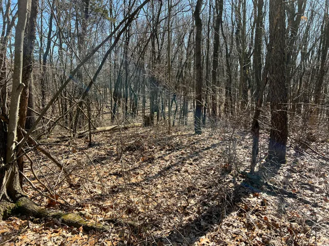 $697,975 | 5725 Whitneyville Avenue Southeast, Alto, MI 49302