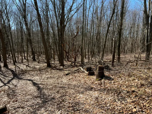 $697,975 | 5725 Whitneyville Avenue Southeast, Alto, MI 49302