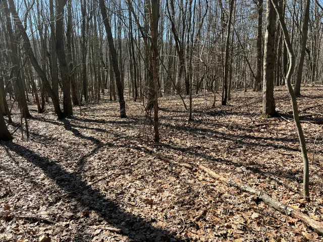 $697,975 | 5725 Whitneyville Avenue Southeast, Alto, MI 49302