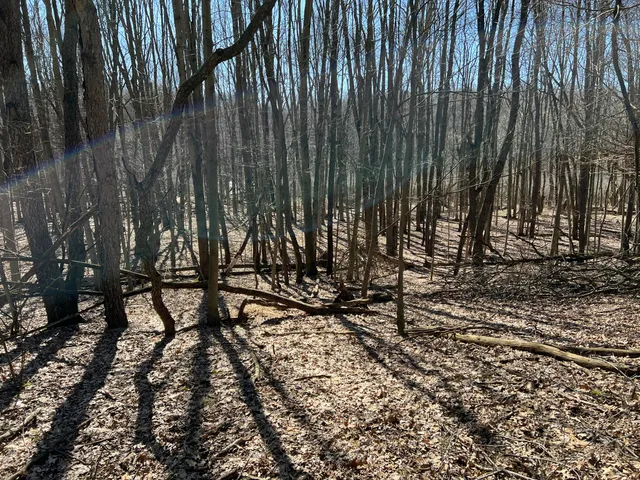 $697,975 | 5725 Whitneyville Avenue Southeast, Alto, MI 49302