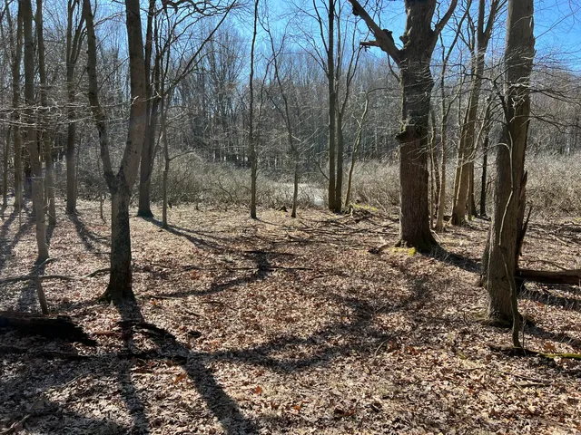 $697,975 | 5725 Whitneyville Avenue Southeast, Alto, MI 49302