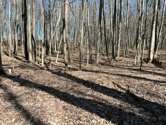 $697,975 | 5725 Whitneyville Avenue Southeast, Alto, MI 49302