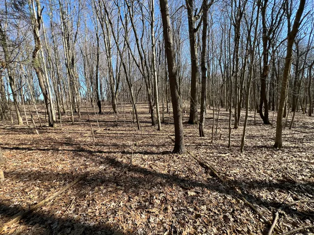 $697,975 | 5725 Whitneyville Avenue Southeast, Alto, MI 49302