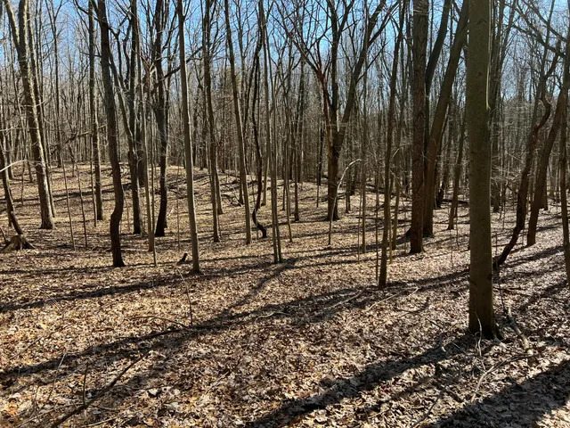 $697,975 | 5725 Whitneyville Avenue Southeast, Alto, MI 49302