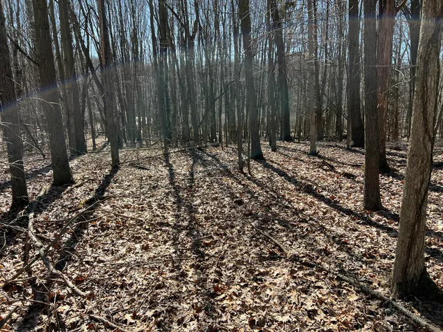 $697,975 | 5725 Whitneyville Avenue Southeast, Alto, MI 49302