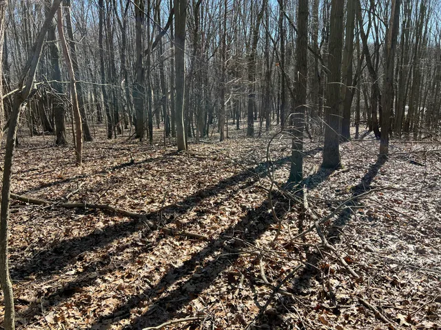 $697,975 | 5725 Whitneyville Avenue Southeast, Alto, MI 49302