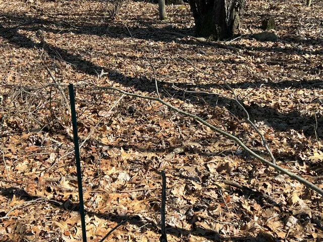 $697,975 | 5725 Whitneyville Avenue Southeast, Alto, MI 49302