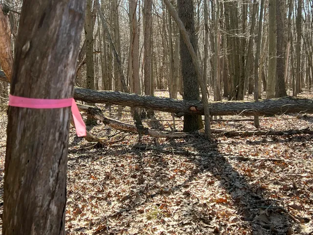 $697,975 | 5725 Whitneyville Avenue Southeast, Alto, MI 49302