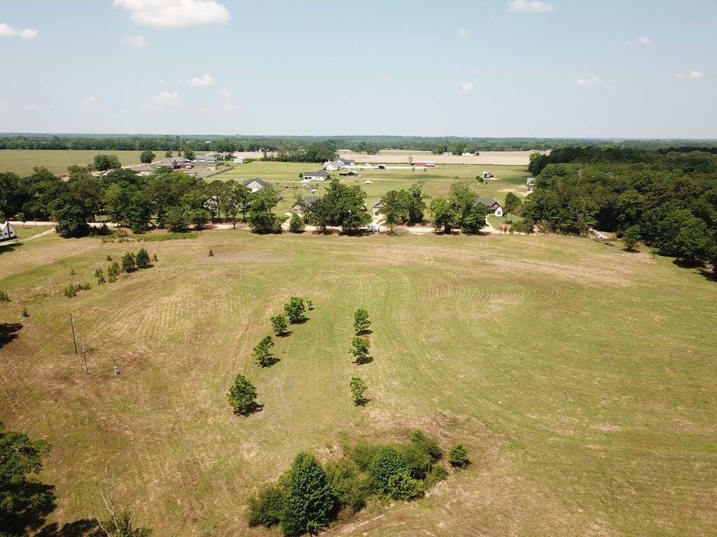 4.7-acres Lot 3 4.7-acres Road Fort Rucker, AL 36362 - Photo 5 of 5