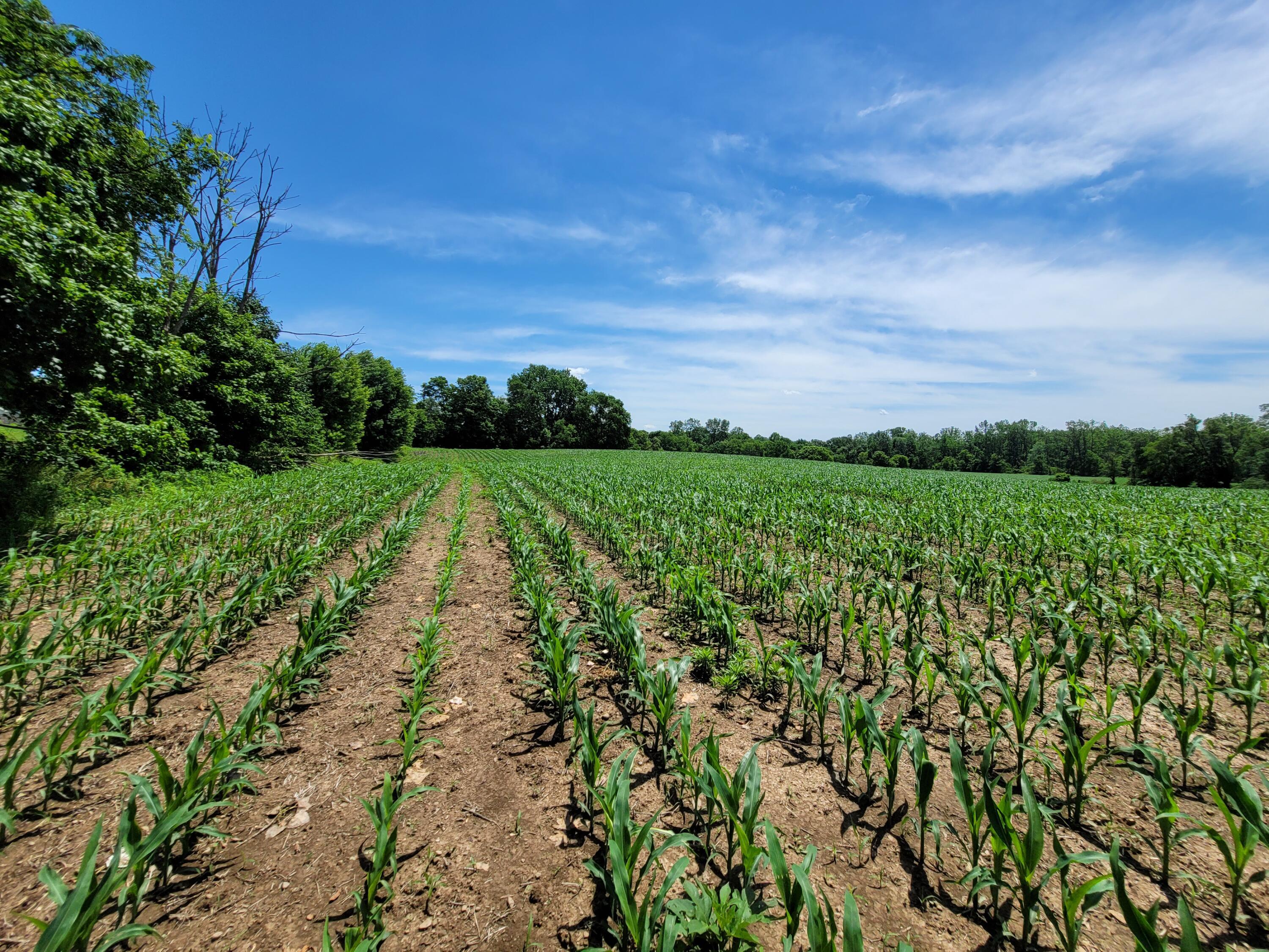 2 Co 23 Rd Mount Mount Gilead, OH 43338 - Photo 4 of 14 4