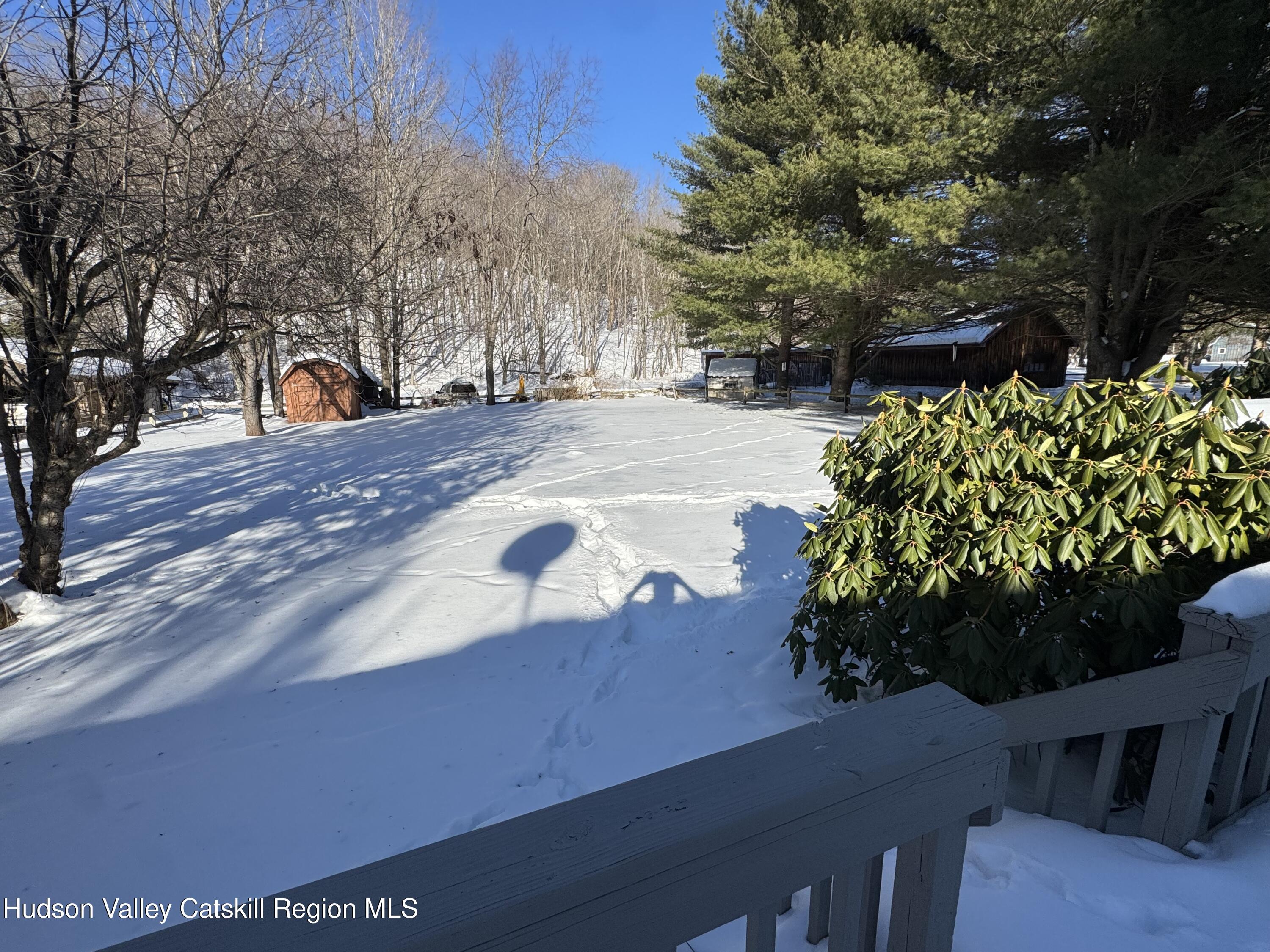 107 Route 40 Road Hensonville, NY 12439 - Photo 3 of 22 a view of a yard with a tree