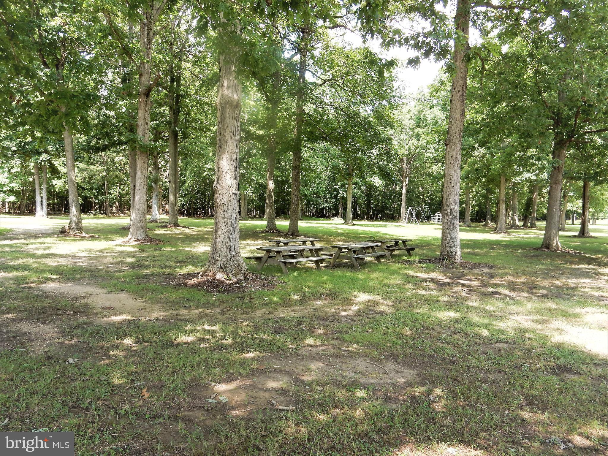 10505 Cedarville Road Brandywine, MD 20613 - Photo 24 of 24 Community Picnic Area