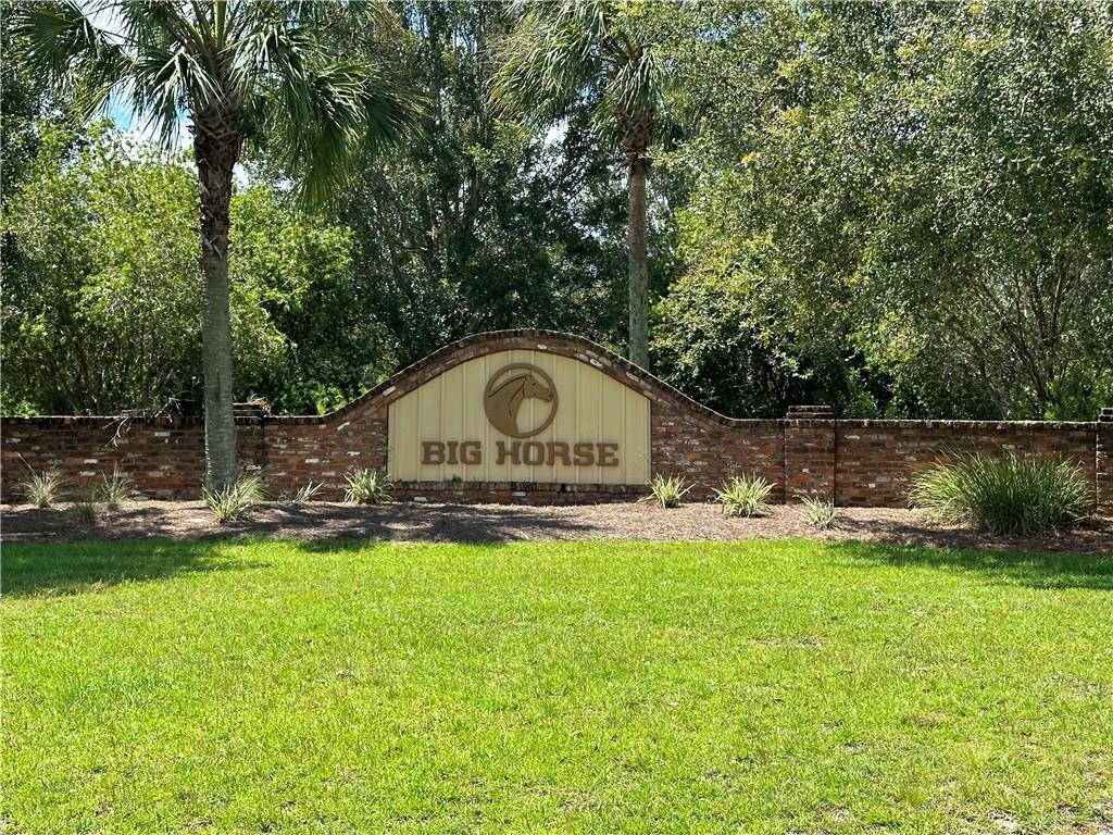 Lot 64 Bartram Loop Waynesville, GA 31566 - Photo 1 of 10