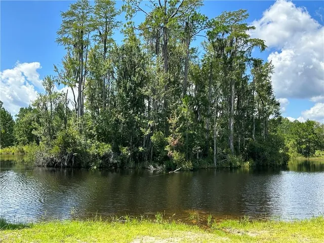 $40,000 | Lot 64 Bartram Loop, Waynesville, GA 31566