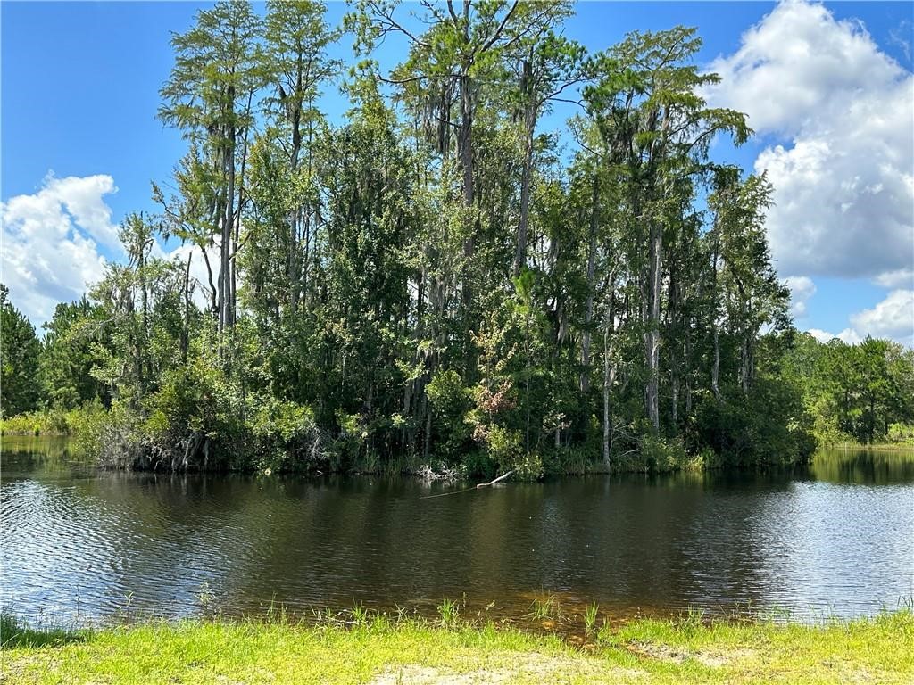 Lot 64 Bartram Loop Waynesville, GA 31566 - Photo 3 of 10