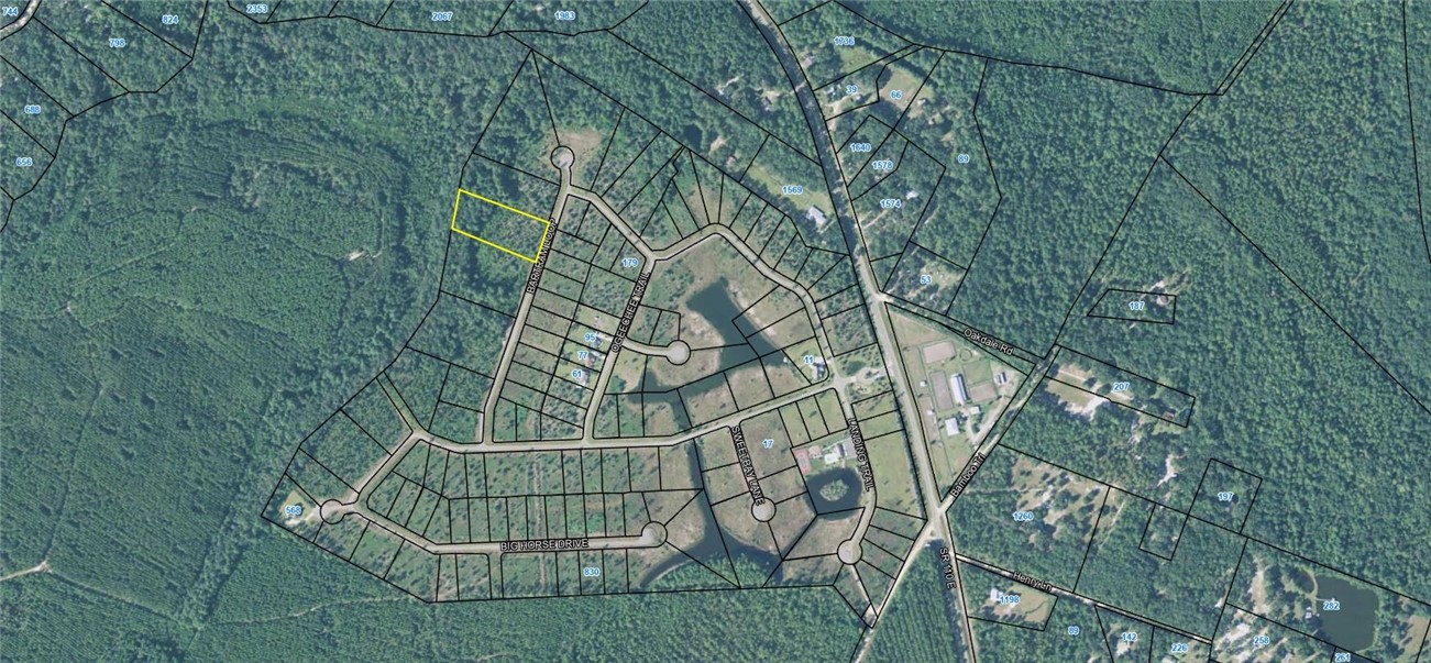 Lot 64 Bartram Loop Waynesville, GA 31566 - Photo 10 of 10