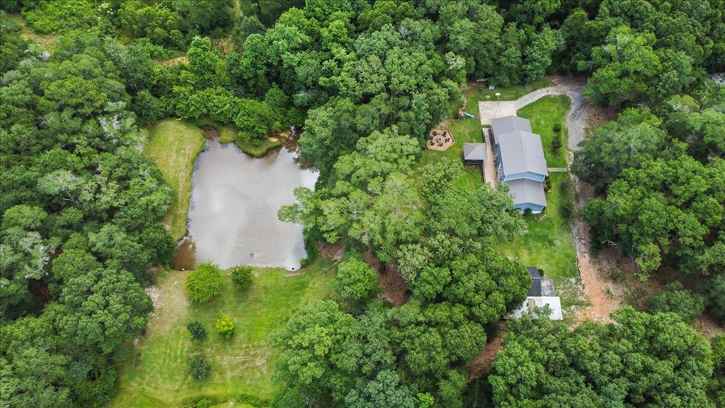 317 Holmes Road Newton, AL 36352 - Photo 9 of 55 Gallery Image 9