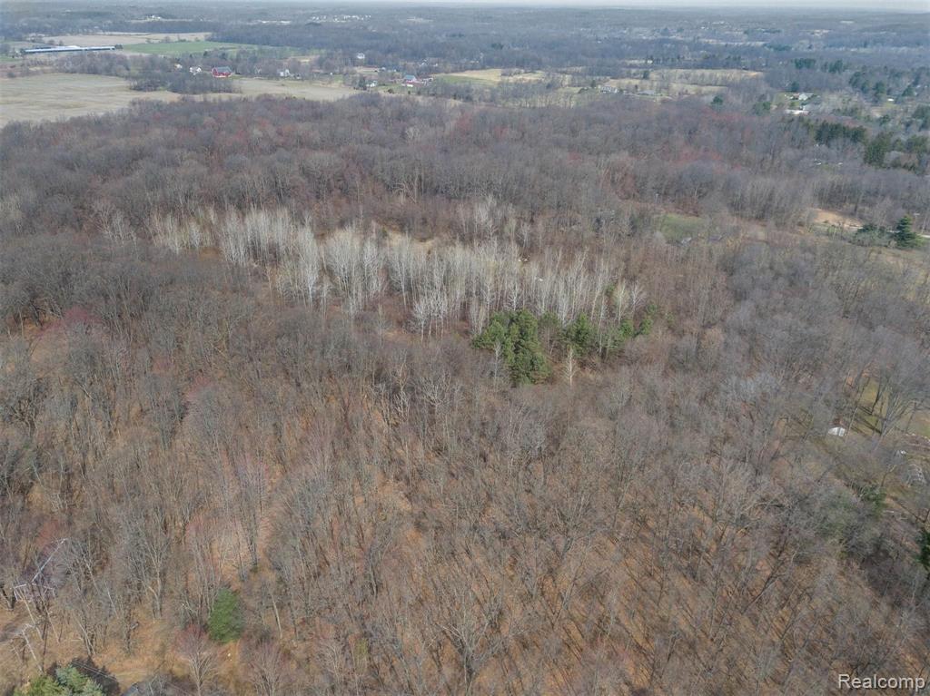 0 Bullard Road Fenton, MI 48430 - Photo 3 of 10