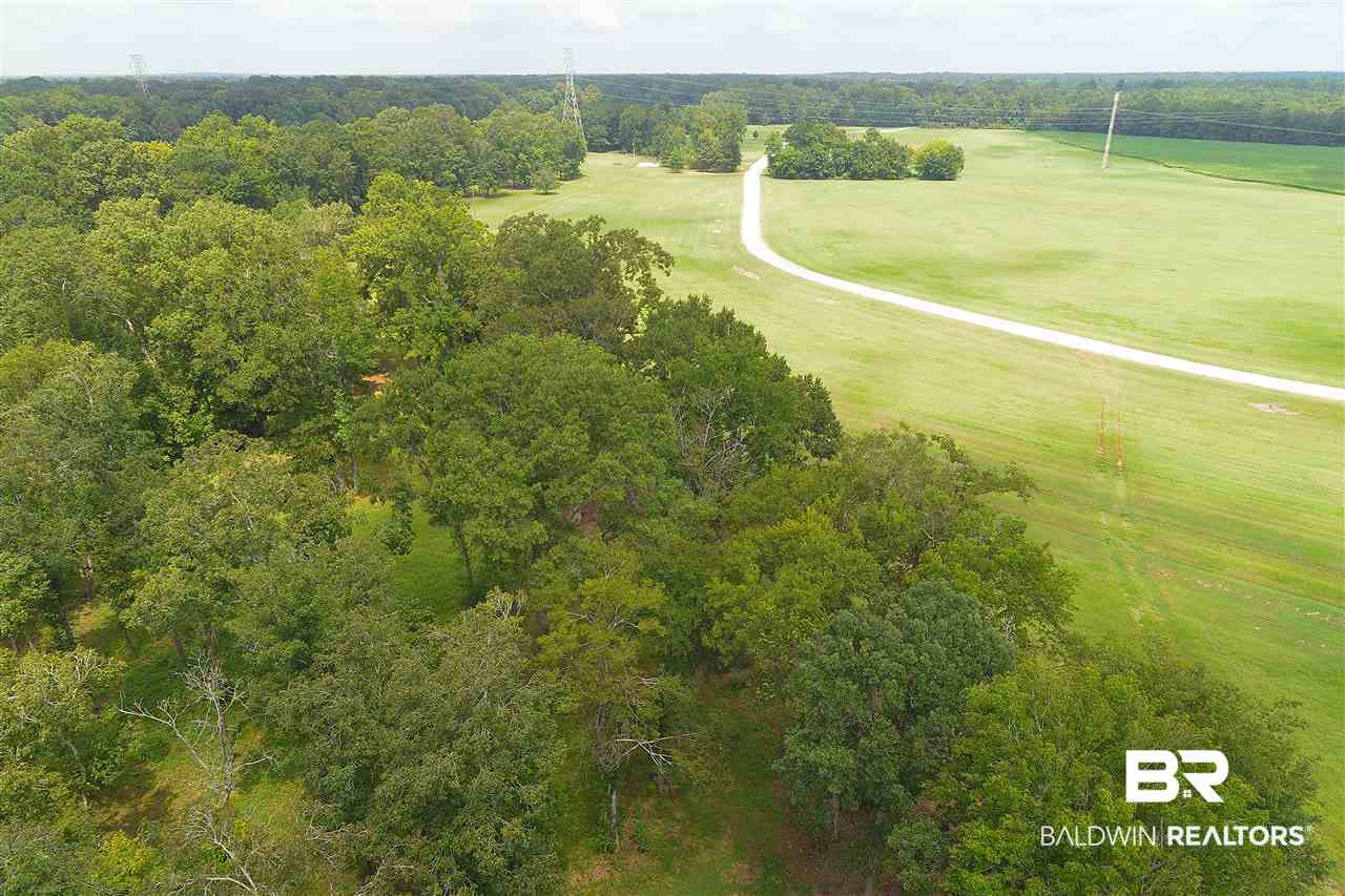 0 Jimmy Phillips Road Greensboro, AL 36744 - Photo 12 of 16