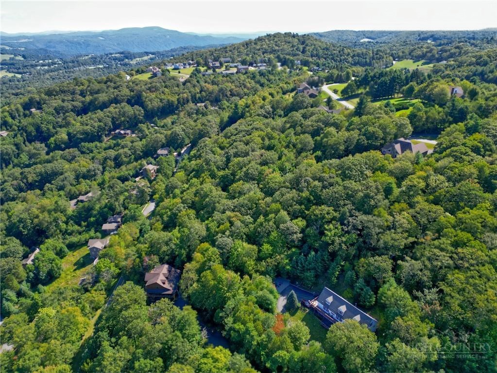Highland Lakes Road Blowing Rock, NC 28605 - Photo 13 of 15