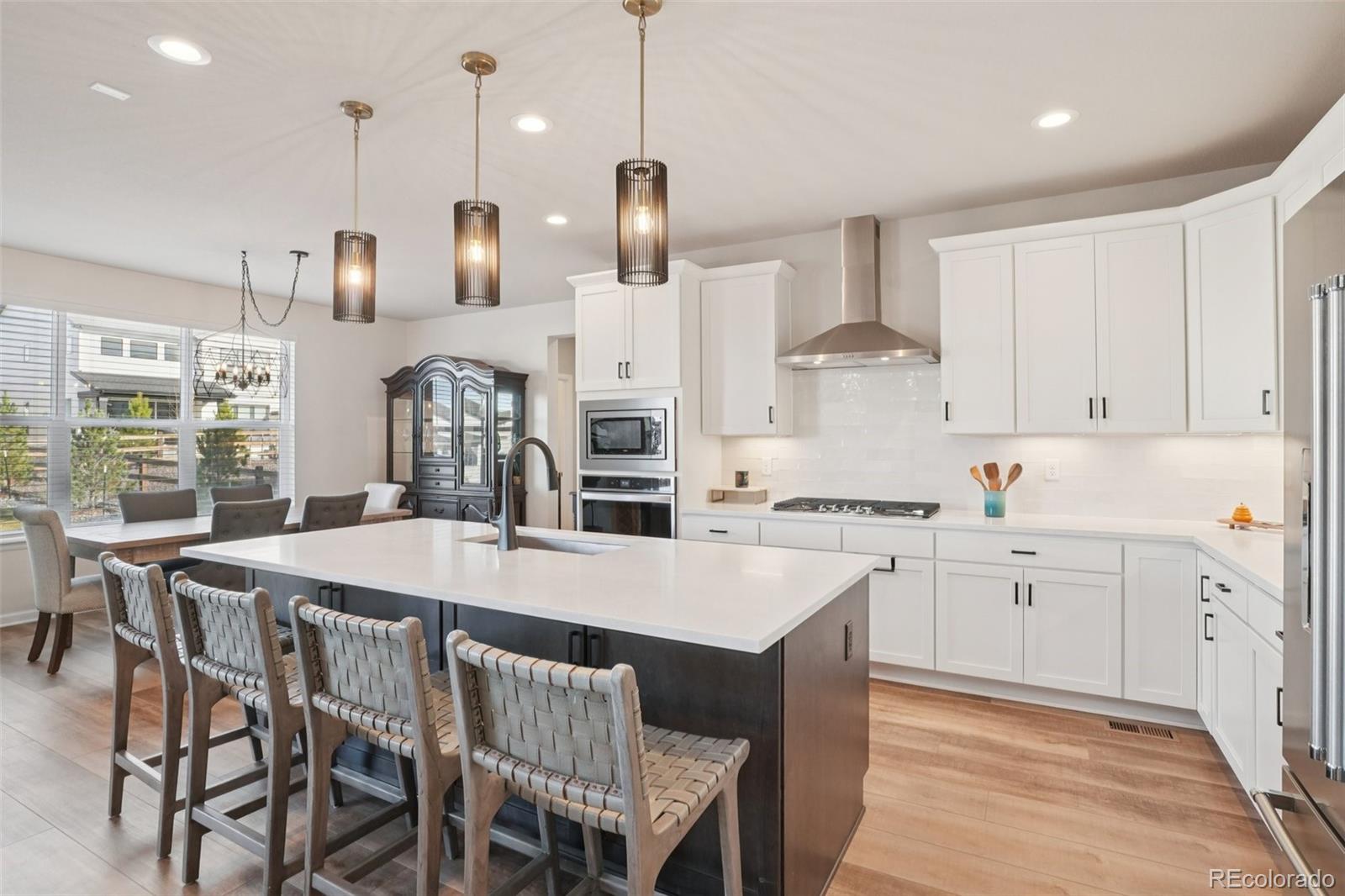 624 Simmental Loop Castle Rock, CO 80104 - Photo 11 of 43