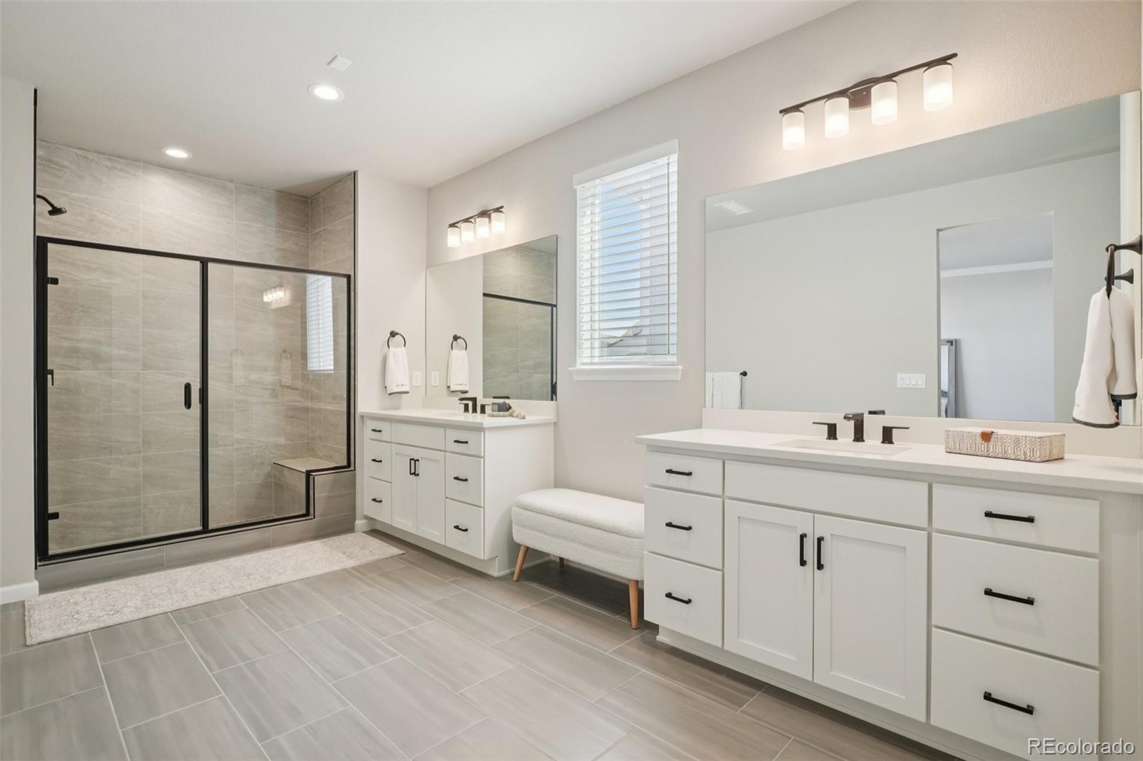 624 Simmental Loop Castle Rock, CO 80104 - Photo 19 of 43