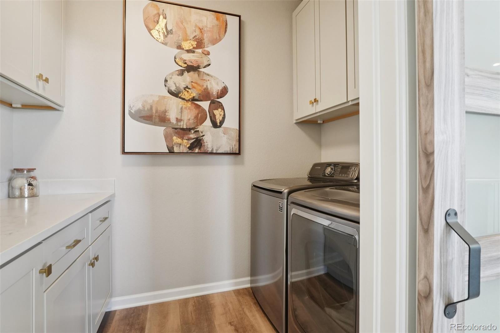 624 Simmental Loop Castle Rock, CO 80104 - Photo 21 of 43