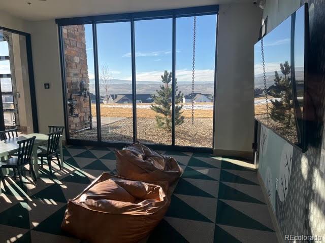 624 Simmental Loop Castle Rock, CO 80104 - Photo 41 of 43