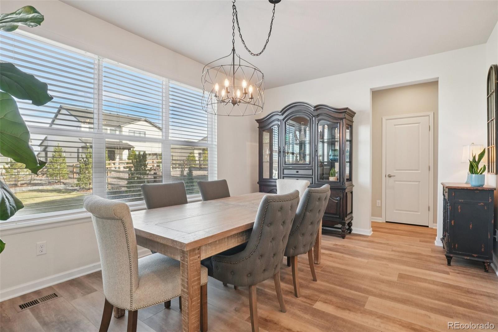 624 Simmental Loop Castle Rock, CO 80104 - Photo 9 of 43