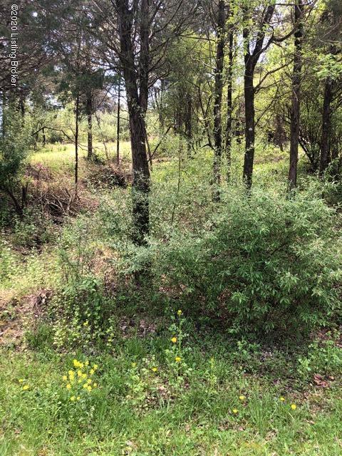 Lot 250 Cedarmore Road Bagdad, KY 40003 - Photo 3 of 10 1