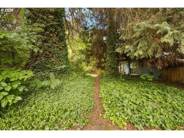 a view of outdoor space and yard