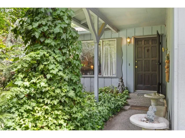 a view of a back yard