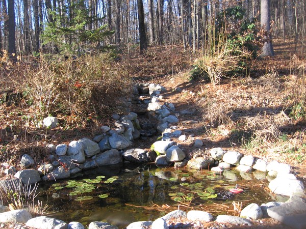 110 Rocky Hill Road Hadley, MA 01035 - Photo 18 of 18 Gallery Image 18